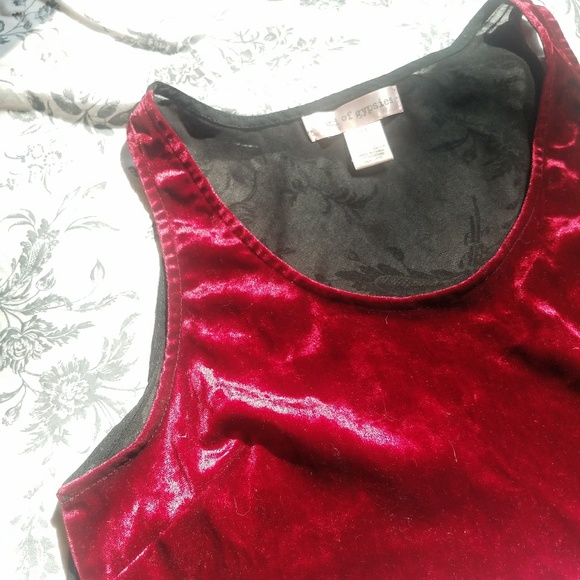 Band of Gypsies Red Velvet Crop Top - Picture 2 of 4